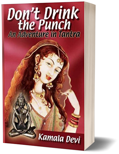 cover-punch3d