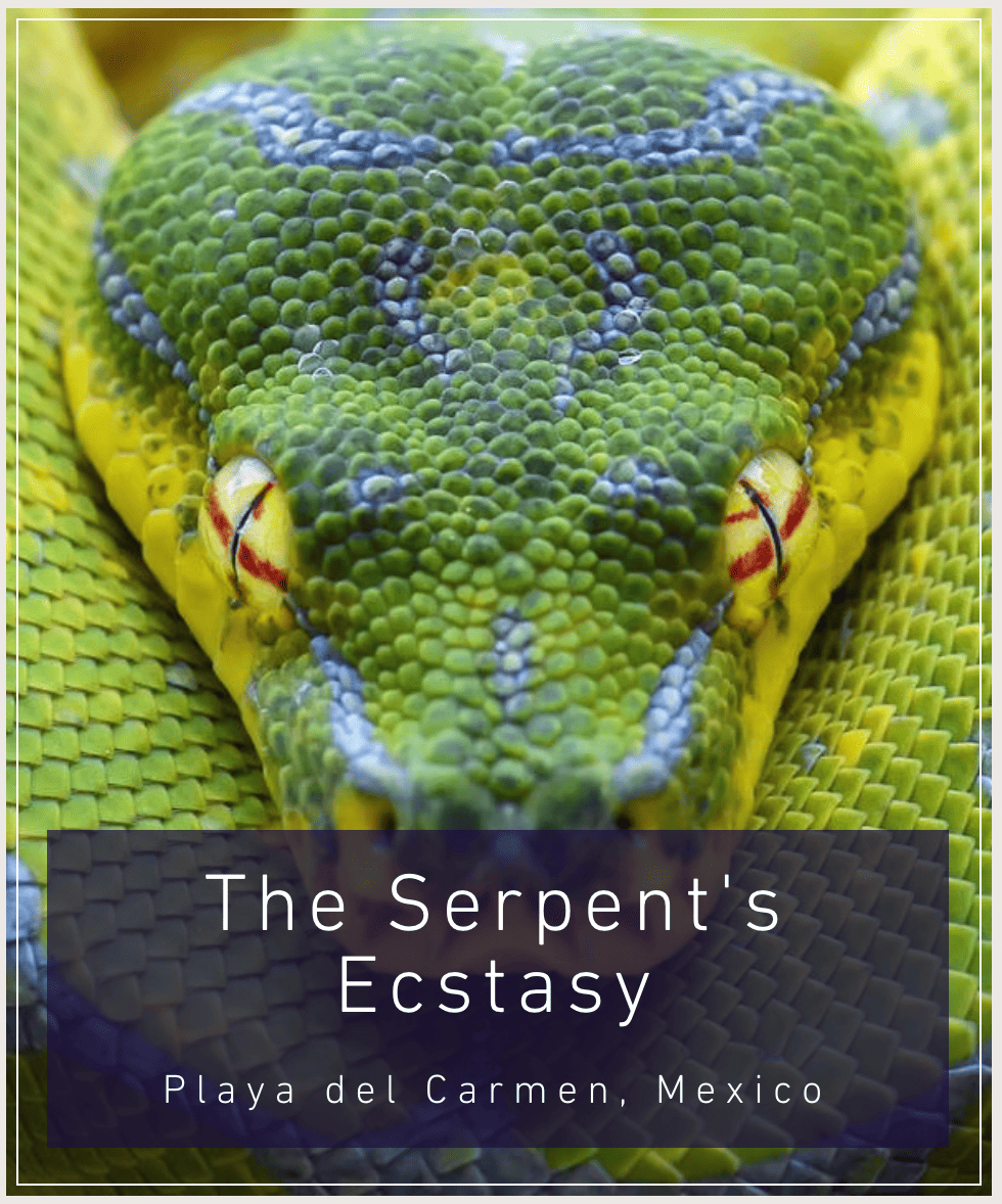 Ecstatic Mysticsm (3 year Program)