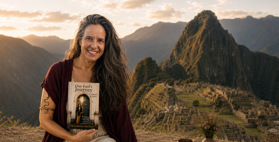 Kickstarter Launch Day: My Doors Are Open for One Fool’s Journey